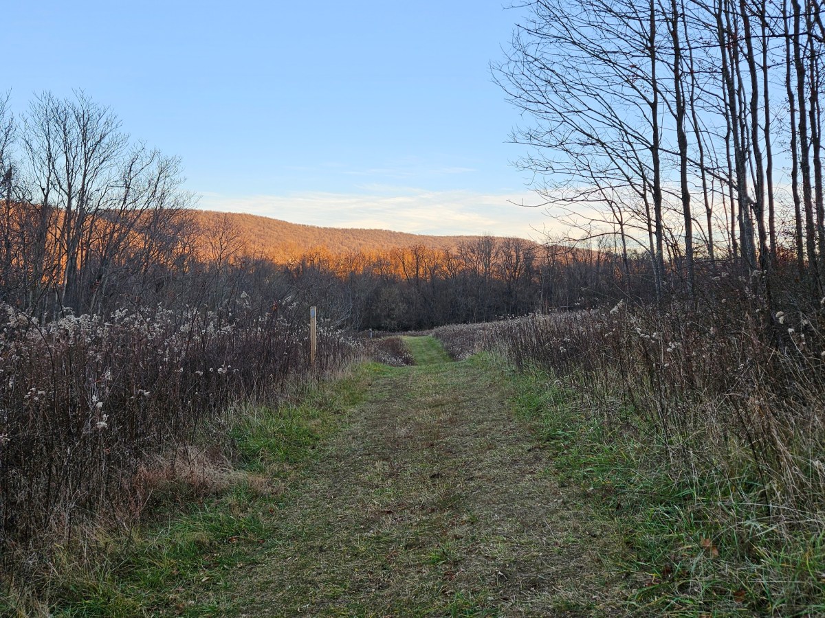 Sweet Run State Park: Virginia’s Newest State&nbsp;Park